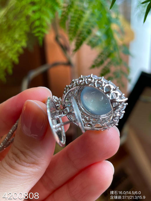 玻璃种蛋面吊坠【4200808】具体价格微信咨询 商品图7