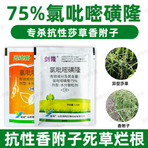 正品75%氯吡嘧磺隆升级版莎草净香附子水花生阔叶莎草杂草除草剂 商品图0