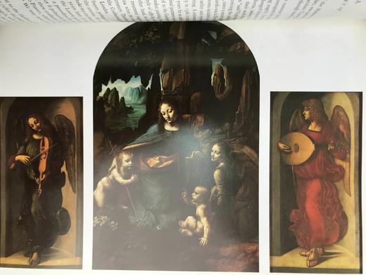 达芬奇画集 87幅插图（40幅彩色） 精装大16开 商品图11