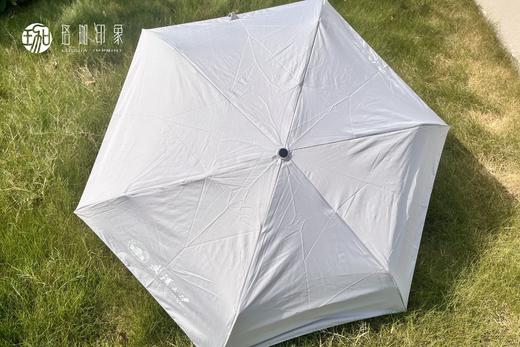 自动雨伞 商品图1