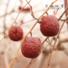 “枣晓得”有机冬月吊干枣/红枣/大枣（成都仓库-顺丰快递 ）| 一级275g/袋，二级300g/袋，来自新疆和田，生产者：张彦敏、杨月东【合作生产，公平贸易】 商品缩略图2