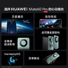 华为（HUAWEI） Mate 60 Pro  卫星通话 超可靠玄武架构 全焦段超清影像 旗舰鸿蒙智能手机 商品缩略图1