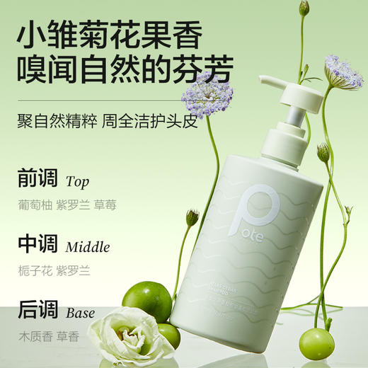 【632优选】柏缇控油洗沐套装(海盐沐浴露+北非洗发水) -海洋之谜 -SH1069 商品图2