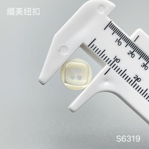 S6319(整包购买) 商品图2