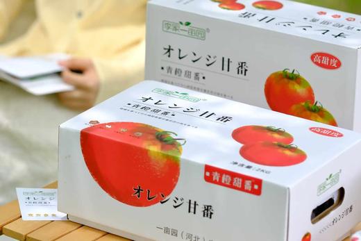日本品种 青橙甜番西红柿 番茄  酸酸甜甜 自然成熟 商品图1