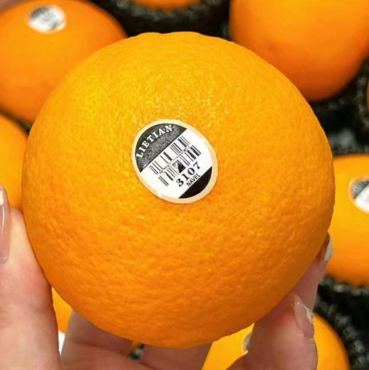 土豪金黑标橙🍊🆕🎁
“被阳光亲吻的橙子”！橙子界的爱马仕！鲜甜多汁、肉质细嫩，口感yyds！超赞[色][色] 商品图1