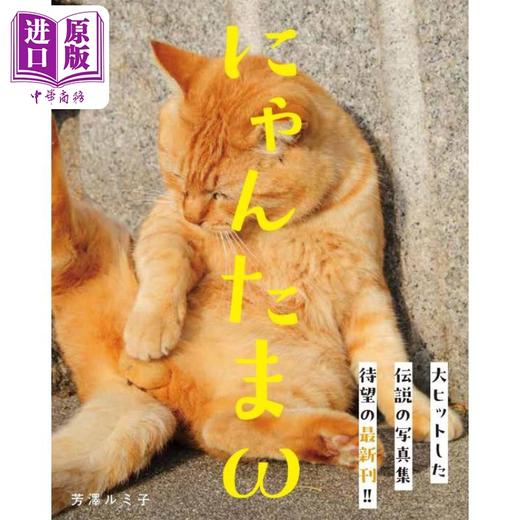 【中商原版】猫蛋蛋摄影集2 日文原版 にゃんたまw 芳澤ルミ子 商品图0