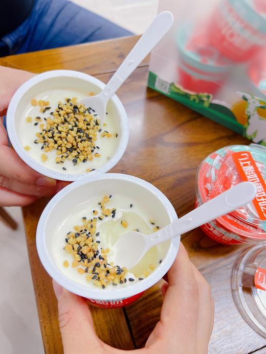 让酸奶更好吃！【尼诺公园·冰淇淋酸奶】奶香浓郁 入口即化 自带花生碎和黑芝麻  奢侈品级酸奶！ 商品图5