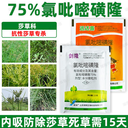 正品75%氯吡嘧磺隆升级版莎草净香附子水花生阔叶莎草杂草除草剂 商品图3