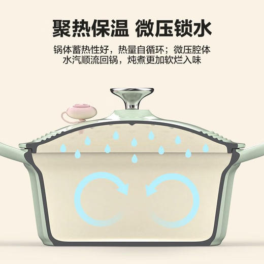 北鼎（Buydeem）25CM焖炖珐琅锅单锅CP551 黄色【LXKGZQ8.0】 商品图7