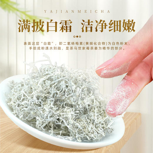 茶马世家丨芽尖莓茶 花草茶 一级 125g 袋装 商品图1