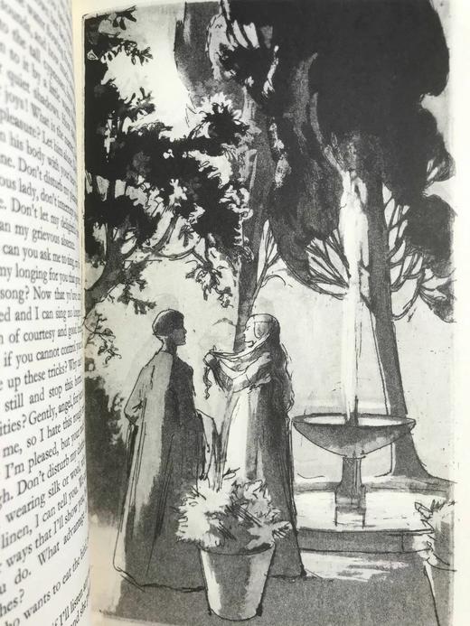 费尔南多·德·罗哈斯《西班牙鸨母》 8幅插图 精装大32开带书匣 商品图11