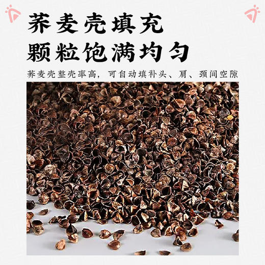 纯棉猫耳朵枕全荞麦壳枕头成人学生可拆洗枕芯午休单人助眠 商品图1