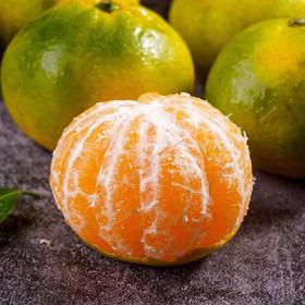 东江湖蜜桔（大果）