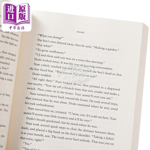 【中商原版】天地杂货店 The Heaven and Earth Grocery Store 英文原版 James McBride 历史小说 纪实文学 商品图13