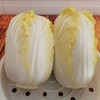 娃娃菜【550g-650g】 商品缩略图2