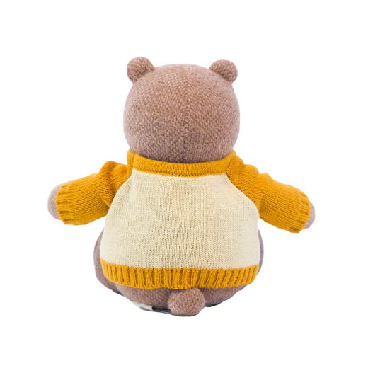 小熊汉斯 柿子鱼熊+配件毛衣 商品图2