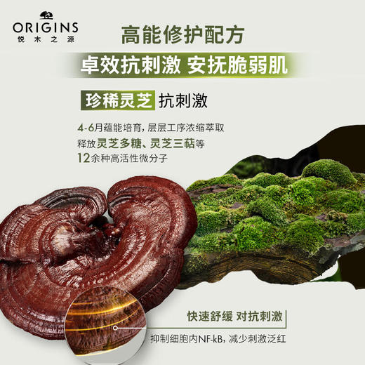 【限时折扣】Origins悦木之源24年新版菌菇水200ml磨砂瓶 商品图1