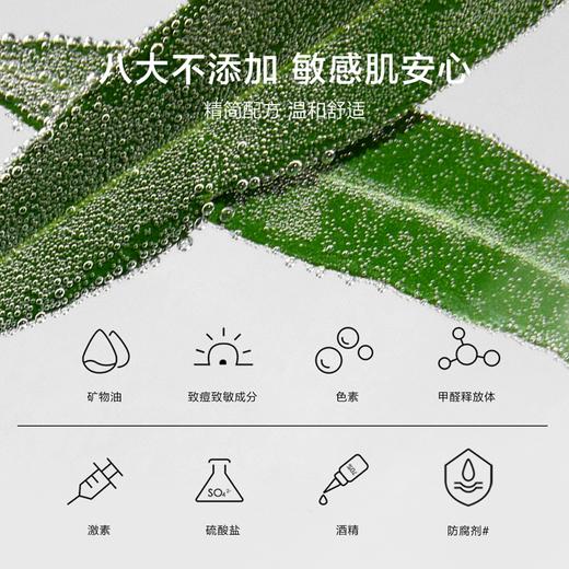 一叶子酪梨保湿净润洁面膏80g-清洁泡沫酪梨洗面奶官方正品 商品图3