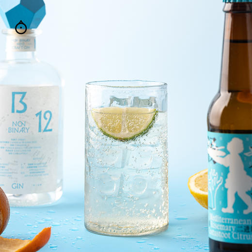 企鹅市集|非二进制NON-BINARY NB12 手工金酒 12种水果香料蒸馏 甜橙柠檬香 商品图1