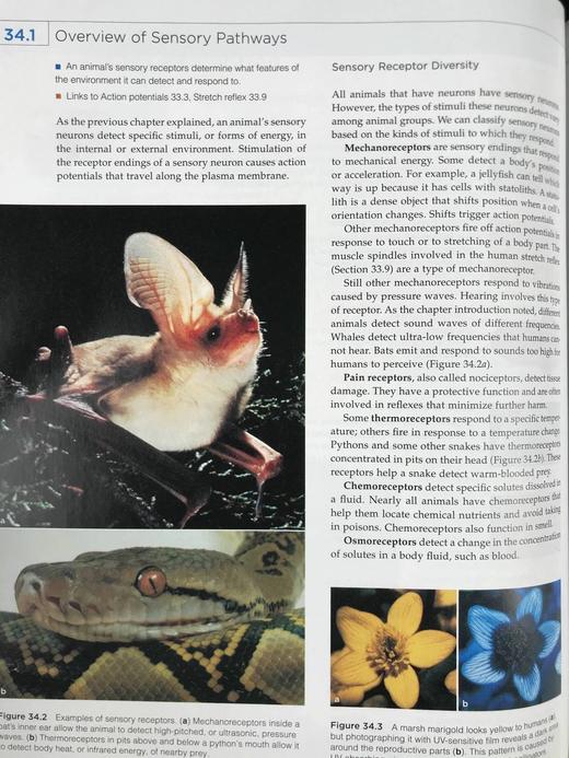 生物学：生命的统一性与多样性 数百幅插图 精装16开 商品图9