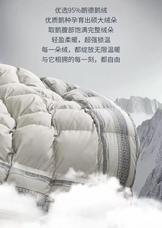 【富安娜】B座7F|富安娜/A类蓄暖鹅绒被/伊 尔顿（送1500元线下无门槛券！） 商品图4