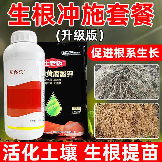 华垦复硝酚钠生根冲施方案组合强力生根蔬菜番茄生根促根调节生长 商品图3