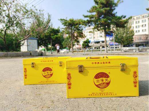 浏阳河V90型号白酒年份窖龄一箱（黄箱） 商品图4