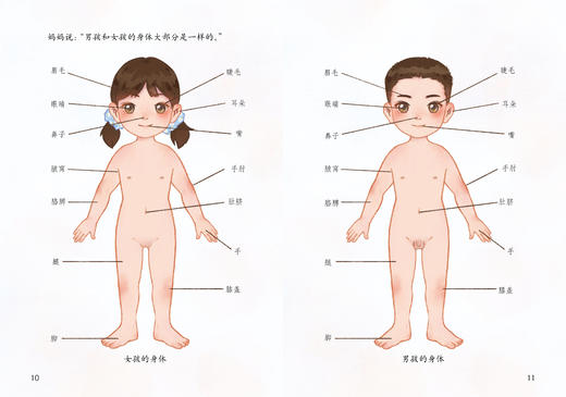 《珍爱生命·儿童生命教育绘本系列》（全8册） 商品图4