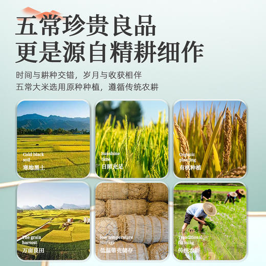 有机五常大米5kg*1袋 商品图2