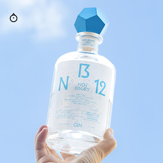 企鹅市集|非二进制NON-BINARY NB12 手工金酒 12种水果香料蒸馏 甜橙柠檬香 商品图2
