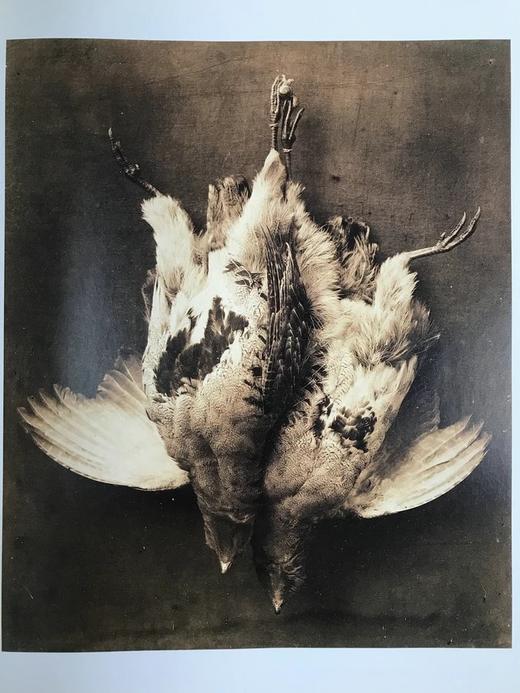 维多利亚与阿尔伯特博物馆摄影作品图集 89幅插图 精装大16开 商品图8