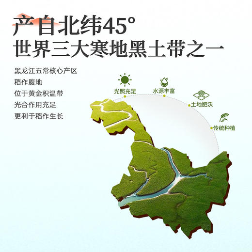 有机五常大米5kg*1袋 商品图1