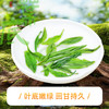 【2026年新茶预售】茶马世家丨恩施玉露 湖北绿茶 一级 250g  ，新茶预计4月15日发货 商品缩略图3