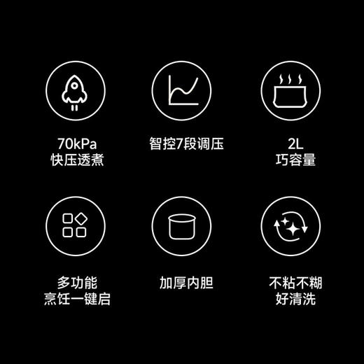 SCP201R 电压力锅/彩盒（单包） 商品图1