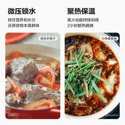 北鼎（Buydeem）25CM焖炖珐琅锅单锅CP551 黄色【LXKGZQ8.0】 商品图8