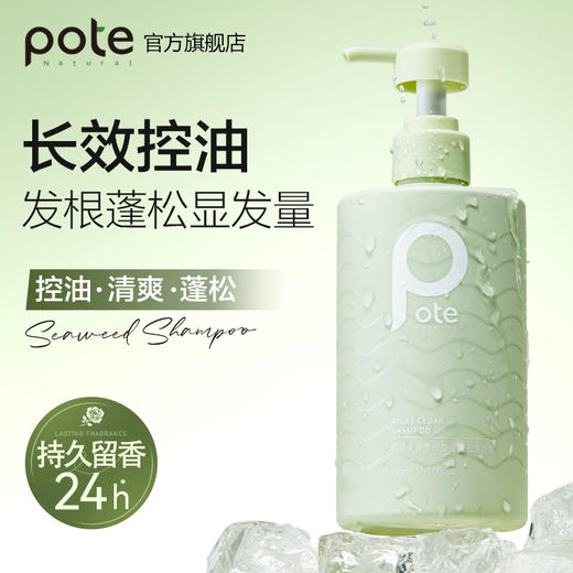 【632优选】柏缇控油洗沐套装(海盐沐浴露+北非洗发水) -海洋之谜 -SH1069 商品图1