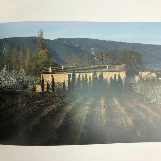 薰衣草：普罗旺斯的芬芳 132幅彩色插图 精装16开 商品图12