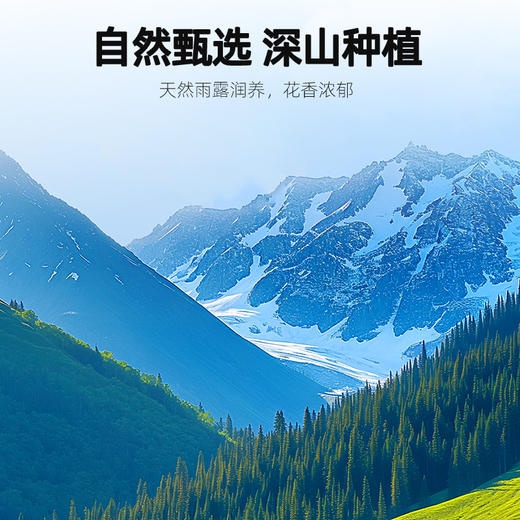 严选 | 杞里香玫瑰茄洛神花40g*5罐 新鲜采摘 自然晾晒 朵朵饱满 商品图3