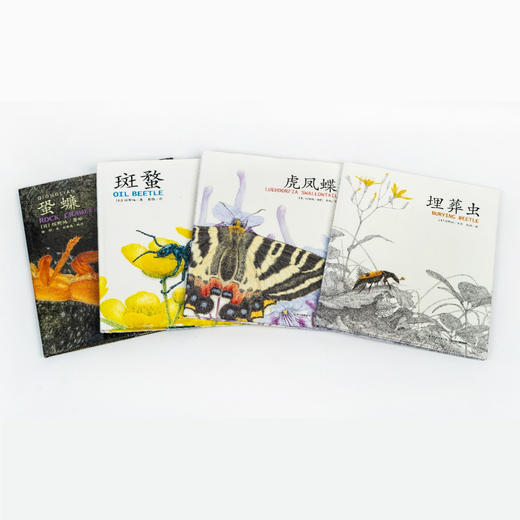 “馆野鸿科学绘本”：《蛩蠊》《斑蝥》《虎凤蝶》《埋葬虫》（全4册） 商品图13