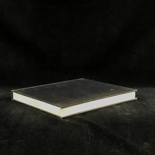 意大利文艺复兴世纪宫廷图集 数百幅插图 精装大16开 商品图1