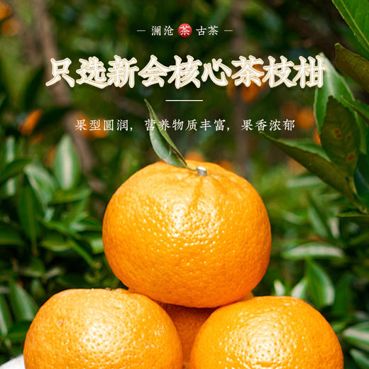 澜沧古茶2020年茶妈妈正宗新会陈皮4年陈礼盒罐装200g 商品图1