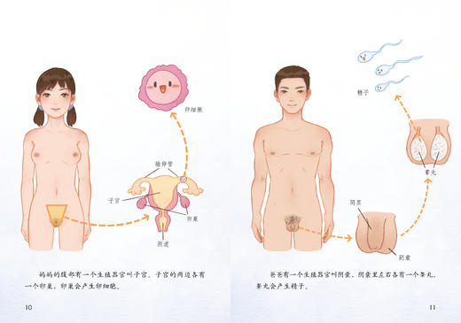 《珍爱生命·儿童生命教育绘本系列》（全8册） 商品图14