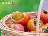日本品种 青橙甜番西红柿 番茄  酸酸甜甜 自然成熟 商品缩略图3