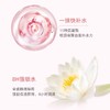 【香港仓】ESTEE LAUDER/雅诗兰黛新版粉水400ml（有效期至27年上半年） 商品缩略图2
