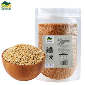 粮田拾趣燕麦米