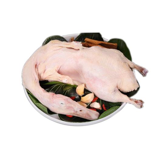 白鸭现杀净膛后4.5-5.5斤 商品图0