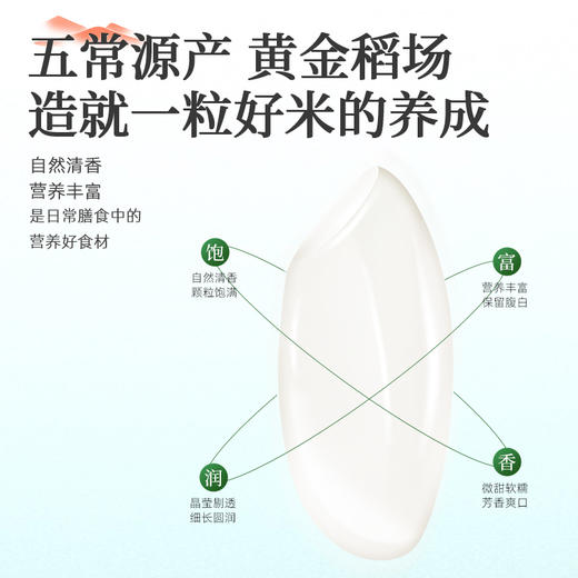 有机五常大米5kg*1袋 商品图3