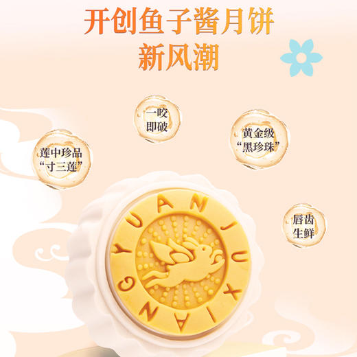 咀香园2024新品月饼礼盒 缤纷彩月饼 商品图5