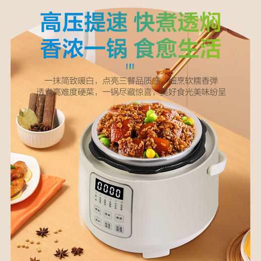 SCP201R 电压力锅/彩盒（单包） 商品图2